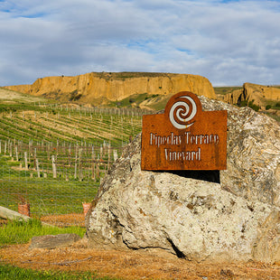 Pipeclay Terrace Vineyard - Robin Dicey